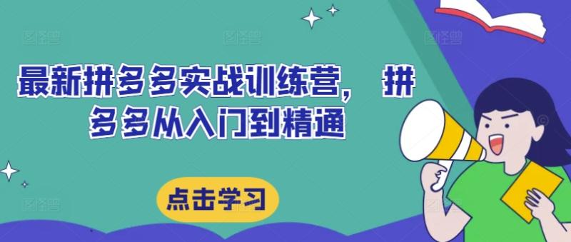 最新拼多多实战训练营， 拼多多从入门到精通 - 副业心选-副业心选