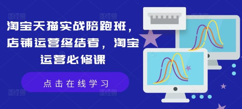 淘宝天猫实战陪跑班，店铺运营终结者，淘宝运营必修课 - 副业心选-副业心选