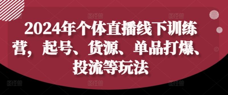 2024年个体直播训练营，起号、货源、单品打爆、投流等玩法 - 副业心选-副业心选