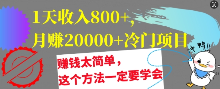 1天收入8张，月赚2w+冷门项目，赚钱太简单，这个方法一定要学会【干货】-副业心选