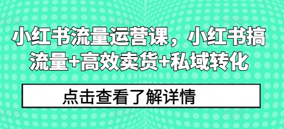 小红书流量运营课，小红书搞流量+高效卖货+私域转化 - 副业心选-副业心选