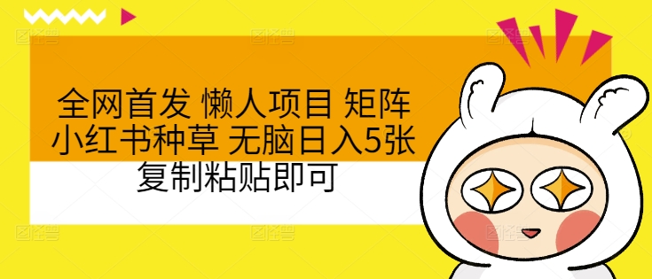 全网首发 懒人项目 矩阵小红书种草 无脑日入5张 复制粘贴即可-副业心选