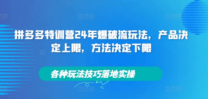 拼多多特训营24年爆破流玩法，产品决定上限，方法决定下限，各种玩法技巧落地实操-副业心选