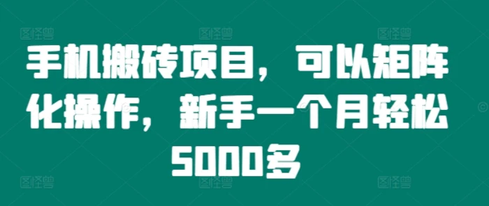 手机搬砖项目，可以矩阵化操作，新手一个月轻松5000多-副业心选