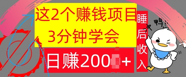 这2个项目，3分钟学会，日赚几张，懒人捡钱 - 副业心选-副业心选