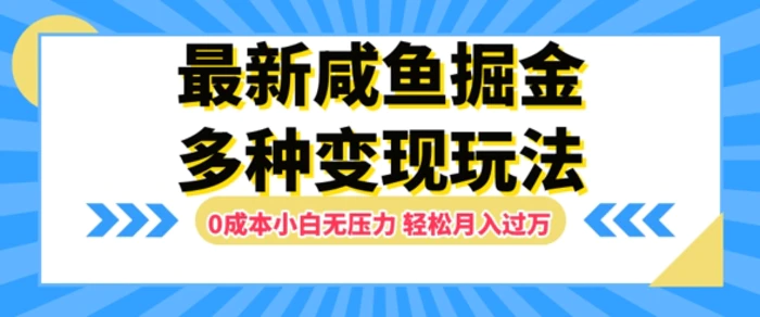 最新咸鱼掘金玩法，0成本小白无压力，多种变现方式，轻松月入过W - 副业心选-副业心选