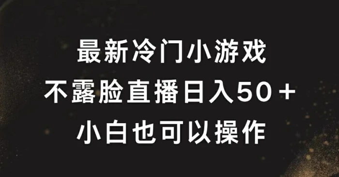 最新冷门游戏不露脸直播，轻松日入50+，小白也可操作-副业心选
