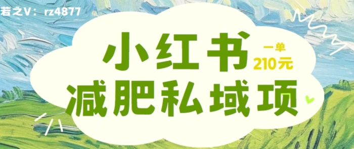 小红书减肥粉，私域变现项目，一单就达210元，小白也能轻松上手【揭秘】 - 副业心选-副业心选