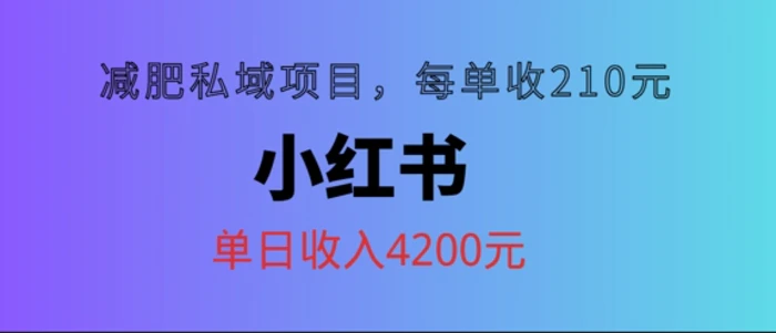 小红书减肥私域项目，每单210元，单日可卖出15单，利润3150 - 副业心选-副业心选