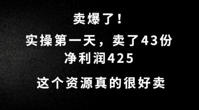 这个资源，需求很大，实操第一天卖了43份，净利润425【揭秘】 - 副业心选-副业心选