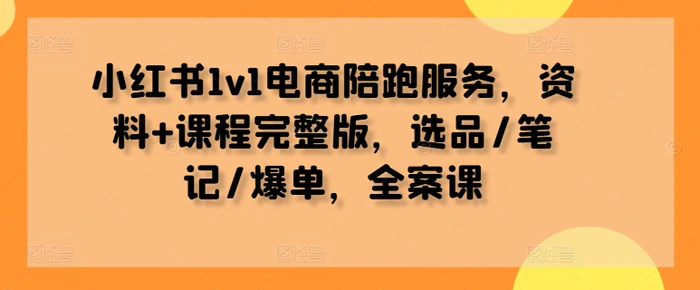 小红书1v1电商陪跑服务，资料+课程完整版，选品/笔记/爆单，全案课 - 副业心选-副业心选