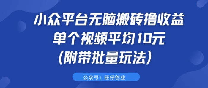 小众平台无脑搬砖撸收益 单个视频平均10元 (附带批量玩法)-副业心选