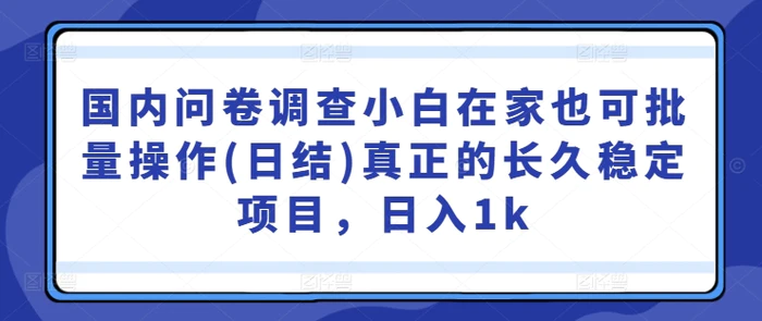 国内问卷调查小白在家也可批量操作(日结)真正的长久稳定项目，日入1k【揭秘】 - 副业心选-副业心选