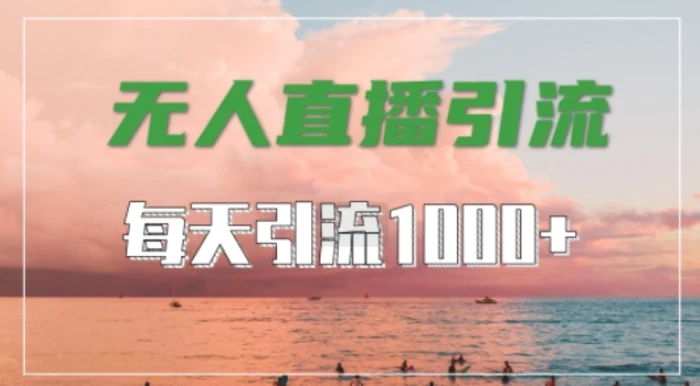 抖音快手视频号全平台通用，无人直播引流法，超暴力引流1000+高质量精准创业粉 - 副业心选-副业心选