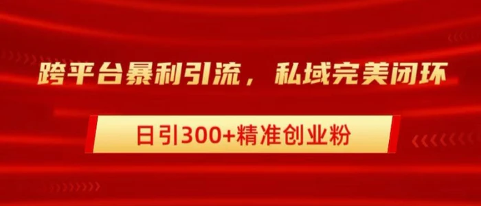 跨平台暴力引流，私域完美闭环，日引100+精准创业粉 - 副业心选-副业心选