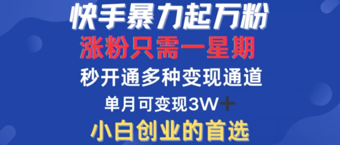 快手暴力起万粉，涨粉只需一星期，多种变现模式，直接秒开万合，单月变现过W【揭秘】 - 副业心选-副业心选