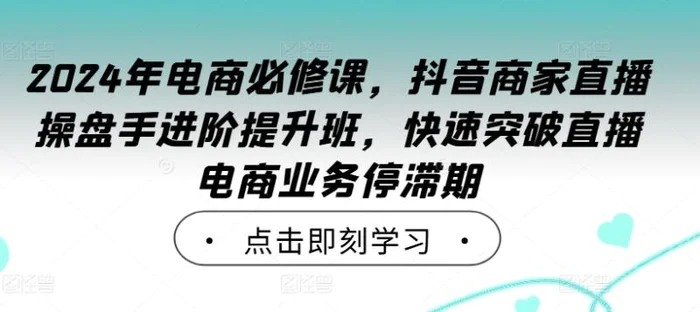 2024年电商必修课，抖音商家直播操盘手进阶提升班，快速突破直播电商业务停滞期 - 副业心选-副业心选