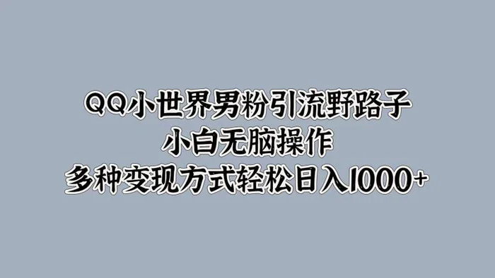 QQ小世界男粉引流野路子，小白无脑操作，多种变现方式 - 副业心选-副业心选
