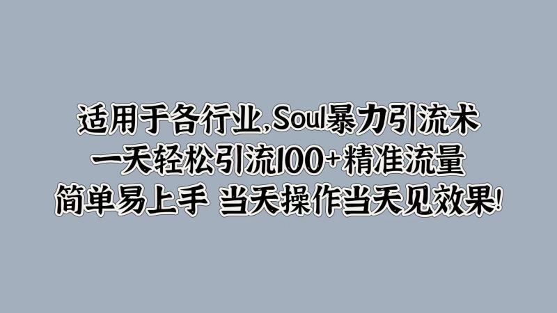 Soul暴力引流术，一天轻松引流100+精准流量，简单易上手 当天操作当天见效果!-副业心选