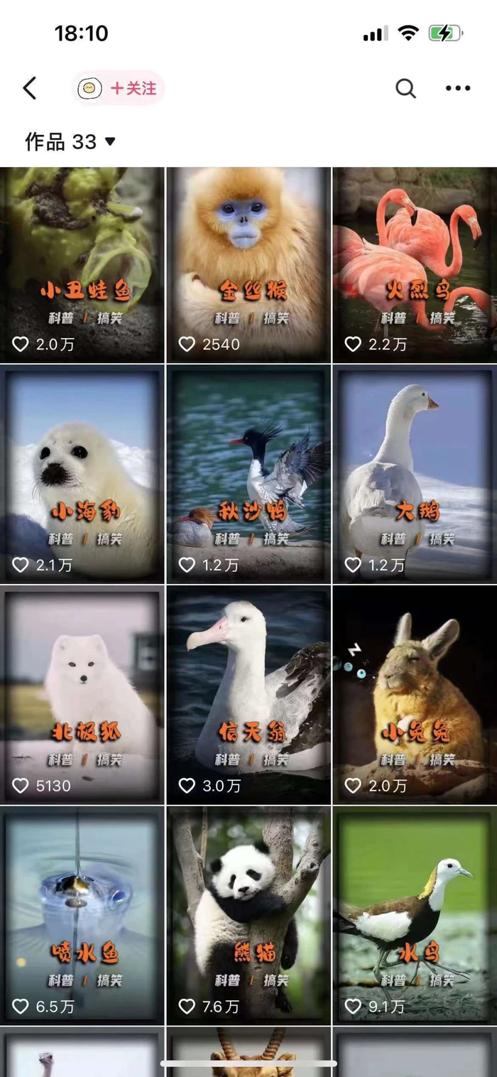 图片[2]-动物科普解说项目，撸创作者伙伴计划收益，保姆级实战教程 - 副业心选-副业心选