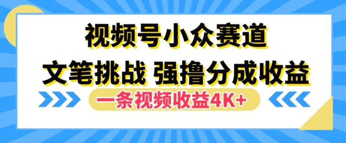 视频号新赛道之文笔挑战，强撸分成收益，一条视频赚了4K+ - 副业心选-副业心选