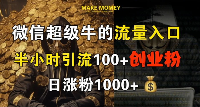 微信超级牛的流量入口，半小时引流100+创业粉，日涨粉1000+ - 副业心选-副业心选