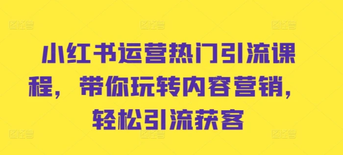 小红书运营热门引流课程，带你玩转内容营销，轻松引流获客-副业心选