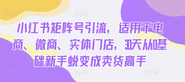小红书矩阵号引流，适用于电商、微商、实体门店，30天从0基础新手蜕变成卖货高手 - 副业心选-副业心选