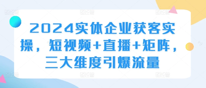 2024实体企业获客实操，短视频+直播+矩阵，三大维度引爆流量 - 副业心选-副业心选