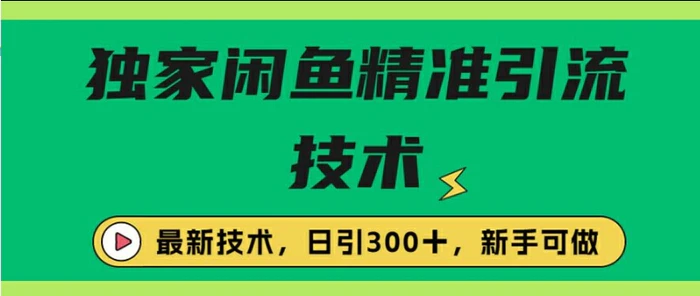 闭鱼精准引流，日引300+创业粉保姆级教程，新手可做 - 副业心选-副业心选