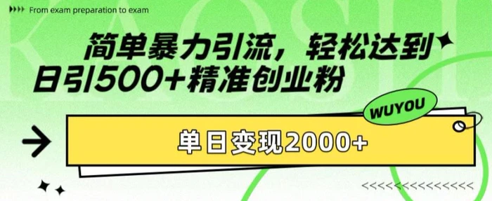 简单暴力引流，轻松达到日引500+精准创业粉，单日变现2k【揭秘】 - 副业心选-副业心选