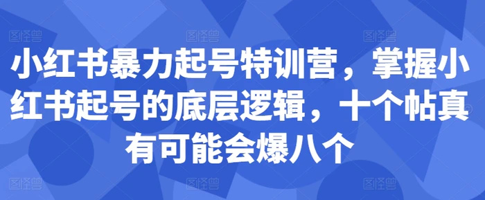 小红书暴力起号特训营，掌握小红书起号的底层逻辑，十个帖真有可能会爆八个 - 副业心选-副业心选