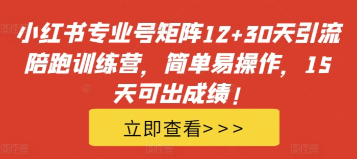 小红书专业号矩阵12+30天引流陪跑训练营，简单易操作，15天可出成绩! - 副业心选-副业心选