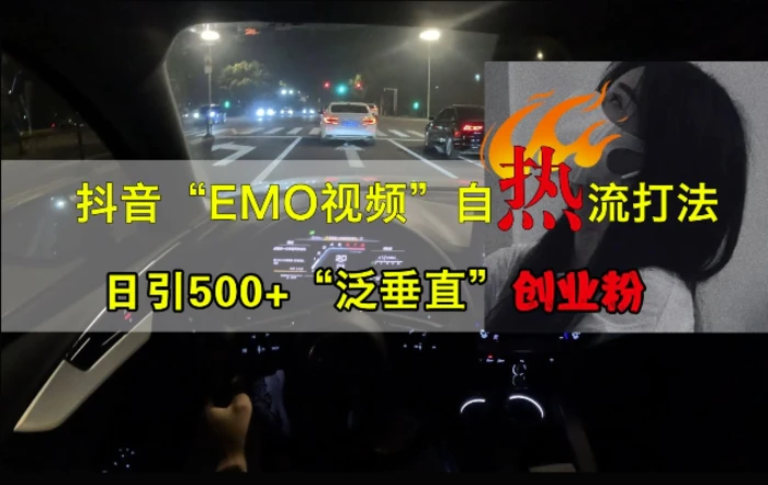 抖音EMO视频自热打法，日引500+“泛垂直”创业粉-副业心选