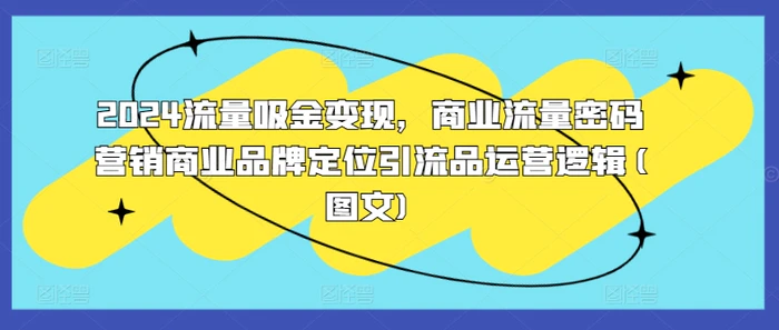 2024流量吸金变现，商业流量密码营销商业品牌定位引流品运营逻辑(图文) - 副业心选-副业心选