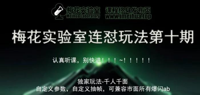 梅花实验室社群专享课视频号连怼玩法第十期课程+第二部分-FF助手全新高自由万能爆闪AB处理 - 副业心选-副业心选