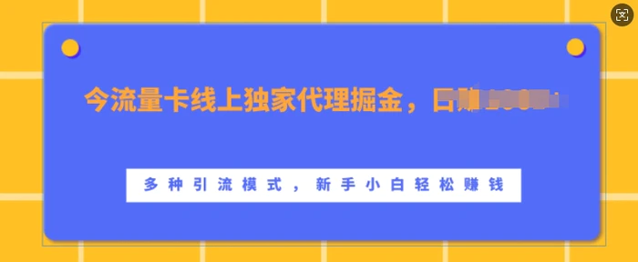 流量卡线上独家代理掘金，日入1k+ ，多种引流模式，新手小白轻松上手【揭秘】 - 副业心选-副业心选