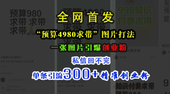 小红书“预算4980带我飞”图片打法，一张图片引爆创业粉，私信回不完，单条引流300+精准创业粉 - 副业心选-副业心选