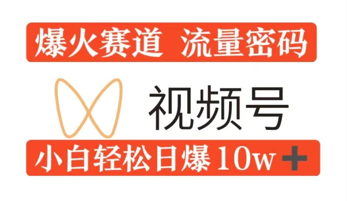 0粉在视频号爆火赛道流量密码，模式全方位，小白轻松日爆10w+流量 - 副业心选-副业心选