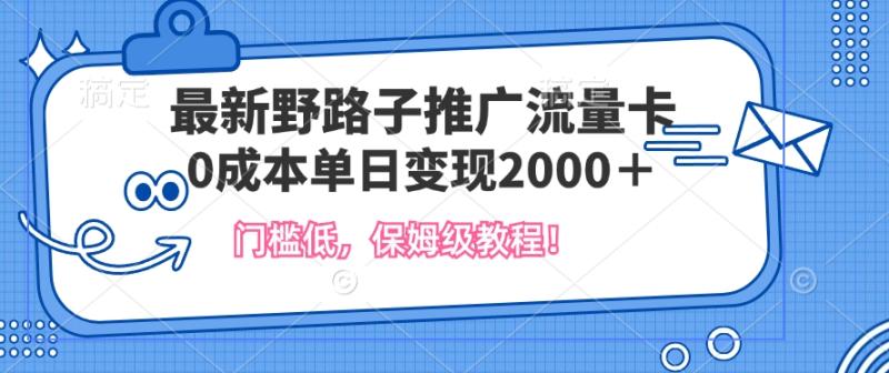 最新野路子推广流量卡，一张200-300，门槛低，0成本单日变现多张-副业心选
