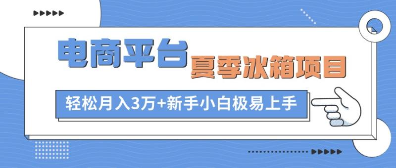 电商平台冰箱项目，项目门槛低，0成本投入，小白轻松上手-副业心选