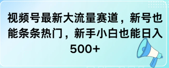 视频号最新大流量赛道，新号也能条条热门，新手小白也能日入5张 - 副业心选-副业心选