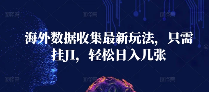 海外数据收集最新玩法，只需挂JI，轻松日入几张 - 副业心选-副业心选