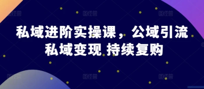 私域进阶实操课，公域引流 私域变现 持续复购 - 副业心选-副业心选