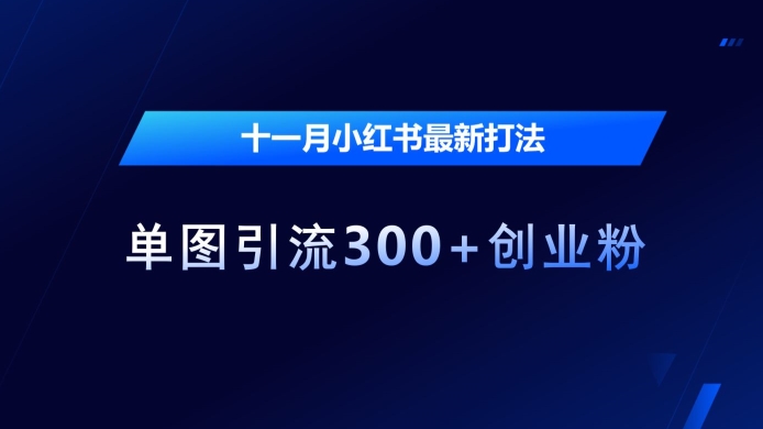 十一月小红书最新打法，单图引流300+创业粉【揭秘】 - 副业心选-副业心选