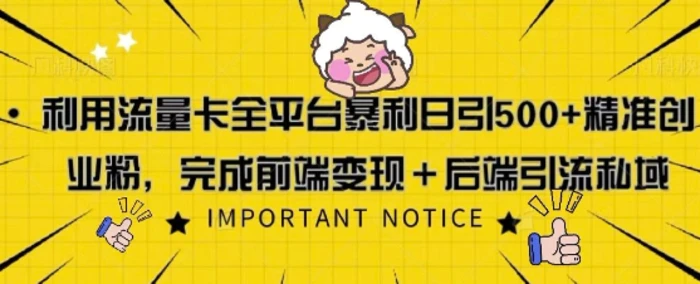 利用流量卡全平台暴利日引500+精准创业粉-副业心选
