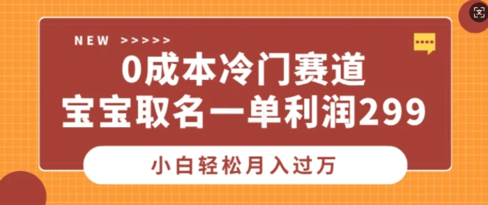 0成本冷门赛道，宝宝取名一单利润299，小白轻松月入过万 - 副业心选-副业心选