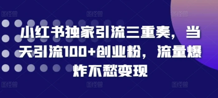 小红书独家引流三重奏，当天引流100+创业粉，流量爆炸不愁变现【揭秘】 - 副业心选-副业心选