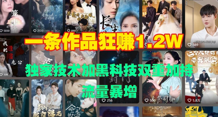 一条作品收益1.2w，独家技术加黑科技双重加持，流量暴增 - 副业心选-副业心选
