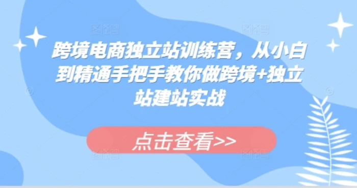 跨境电商独立站训练营，从小白到精通手把手教你做跨境+独立站建站实战 - 副业心选-副业心选
